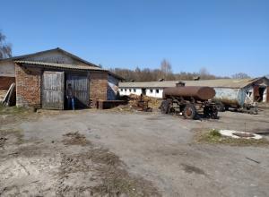 Farm 10 ha