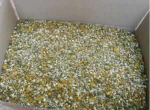 Chamomile flowers