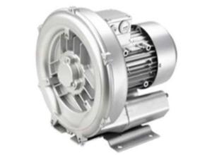 Regenerative blowers