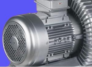 Ring blowers