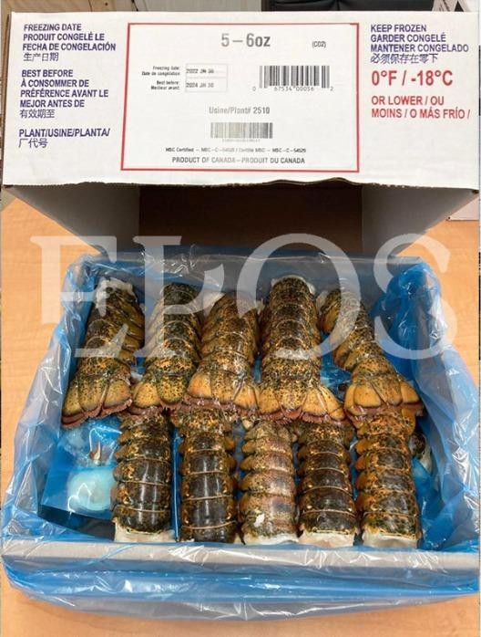 Frozen Cooked Octopus Legs