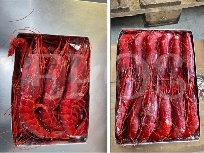 Frozen Cooked Octopus Legs