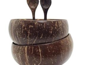 Coconut Bowl and Spoon Duo Set – Set of 2 Bowls and 2 Spoons