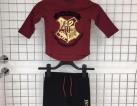 harry potter set