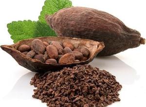 CACAO OIL