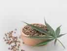 HEMP SEED OIL