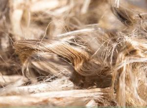NATURAL FIBERS