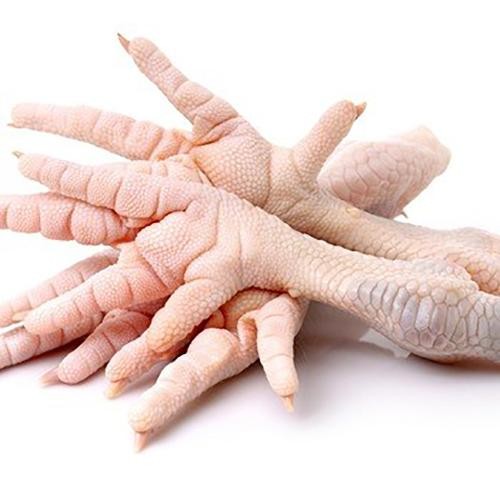 Fresh Chicken Drumsticks