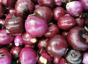 RED ONION