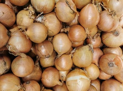 RED ONION