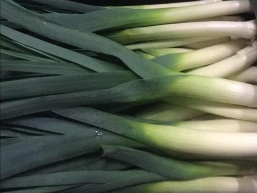 RED ONION