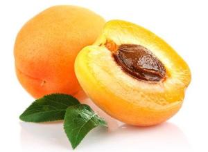 Fresh Apricot