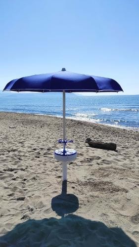 Volcano Umbrella