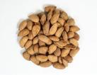 ACTIVATED ALMONDS, WALNUTS, BRAZIL AND CASHEW