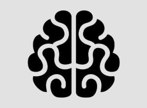 Industrial software BRAIN2