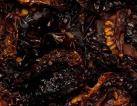 Tomatoes dried halves org