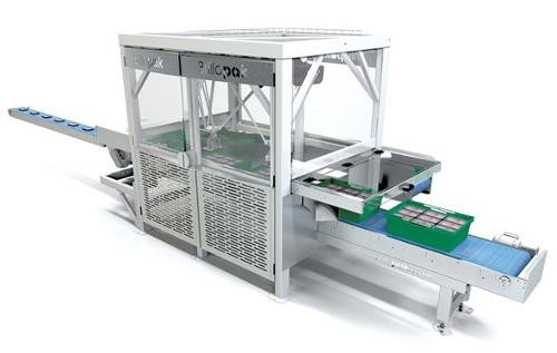 Automated Packaging Systems