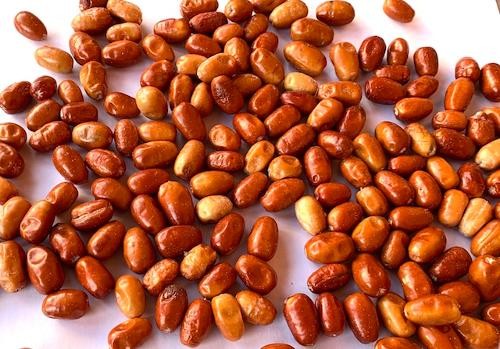 CRANBERRY BEANS