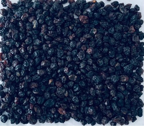CRANBERRY BEANS