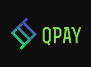  Prodam It Servis Qpay Inc