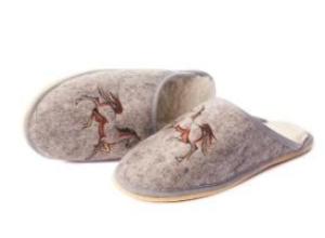 Home shoes