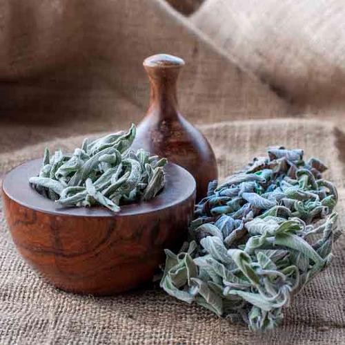Organic Thyme