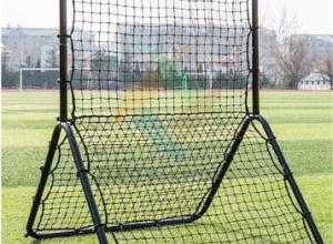 Pro Pitchback Net And Frame