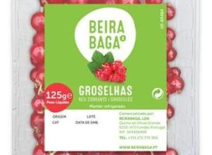 Redcurrants