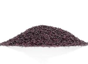 Blackcurrant seed