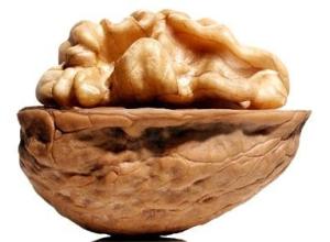 WALNUT IN SHELL PROCESSING