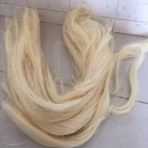 3260