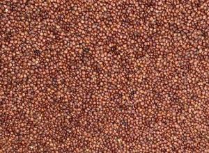 Red (organic) quinoa