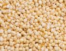 Puffed quinoa