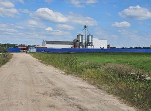  Ready business: agriculture, crop production