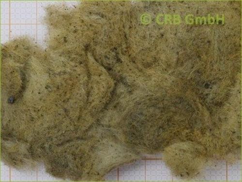 Asbestos analysis