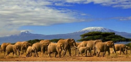 4 DAYS MASAI MARA AND NAKURU SAFARI