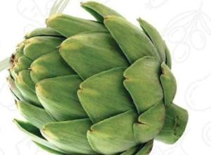 Artichoke