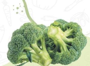 Broccoli