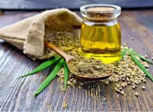 HEMP SEED OIL