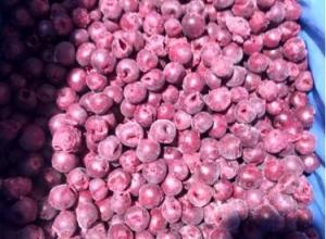 IQF Sour-cherry