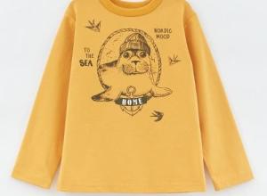 Sienna long sleeve shirt for boys