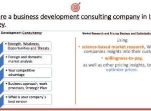 Business Consultant