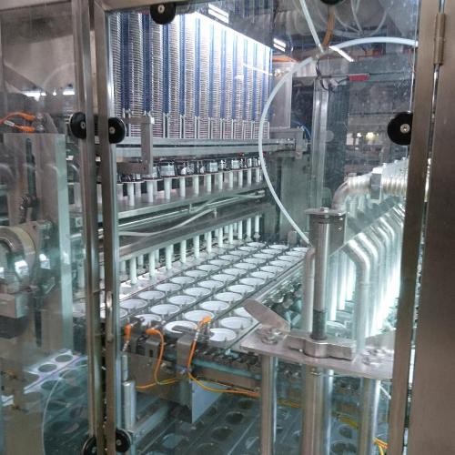 Grissini production line