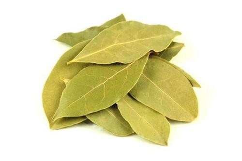 Basil leaves