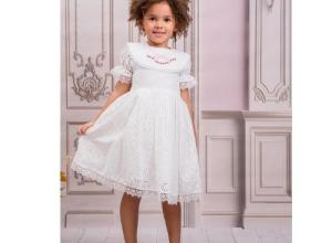 Girl Dress With Flower Embroidered And Hair Band