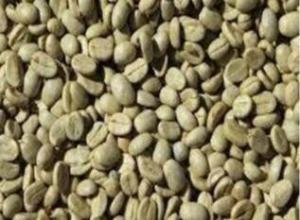 Arabica Coffee Beans
