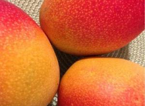 Mangoes