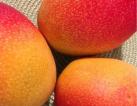 Mangoes