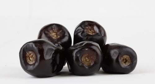dates paste