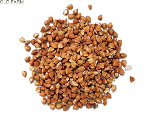 dates paste